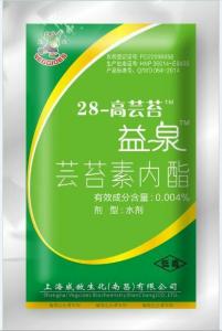 28-高蕓苔